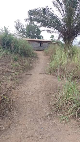 Terrain titré en vente à Yaoundé - Nkolnda