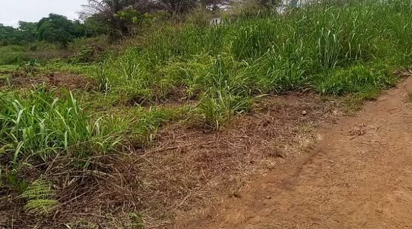 Terrain titré en vente à Yaoundé - Nkolnda